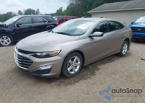 2023 Chevrolet Malibu Fwd 1Lt from USA, damaged, VIN 1G1ZD5ST1PF189502